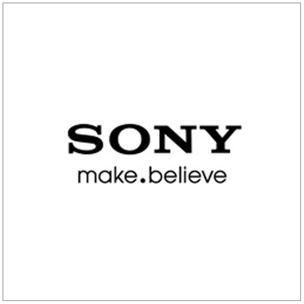 Sony Diagnostic Monitors
